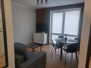 Dream Apart B Żeromskiego 15, Szklarska Poręba